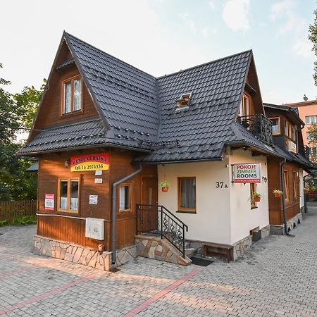 Wesola Chatka Zakopane - Krupowki 37A -Centrum Kültér fotó